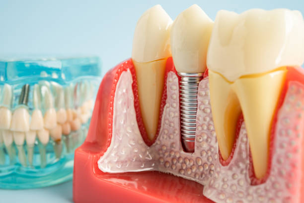 Best Preventive Dentistry  in Stokesdale, NC